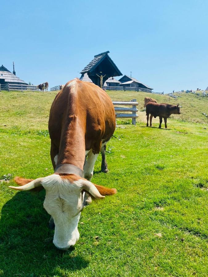 Вилла Velika Planina Koca Kekec Стаховица Экстерьер фото