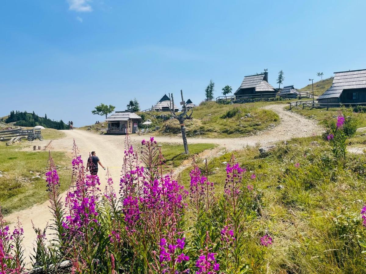 Вилла Velika Planina Koca Kekec Стаховица Экстерьер фото